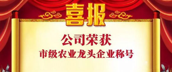 熱烈祝賀魯香源食品公司榮獲農(nóng)業(yè)產(chǎn)業(yè)化市級(jí)重點(diǎn)龍頭企業(yè)